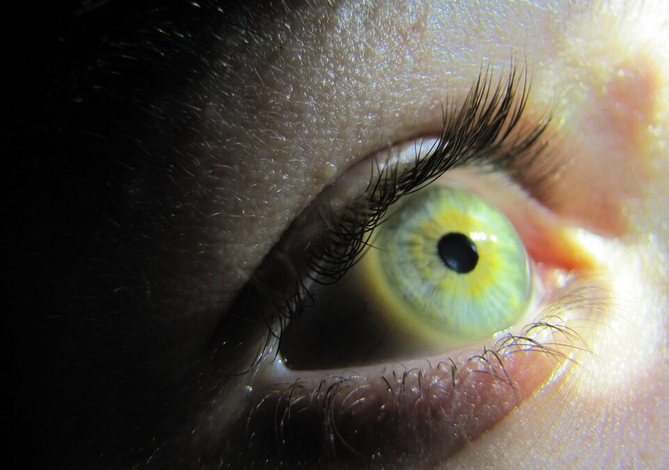Do You Have a Case for Delayed Diagnosis and Treatment of a Detached Retina?