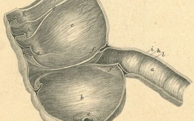 What Are the Early Warning Signs of Appendicitis?